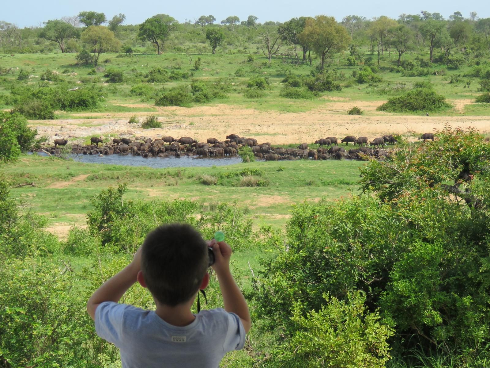 3 Giorni di Safari e Avventura in Tanzania