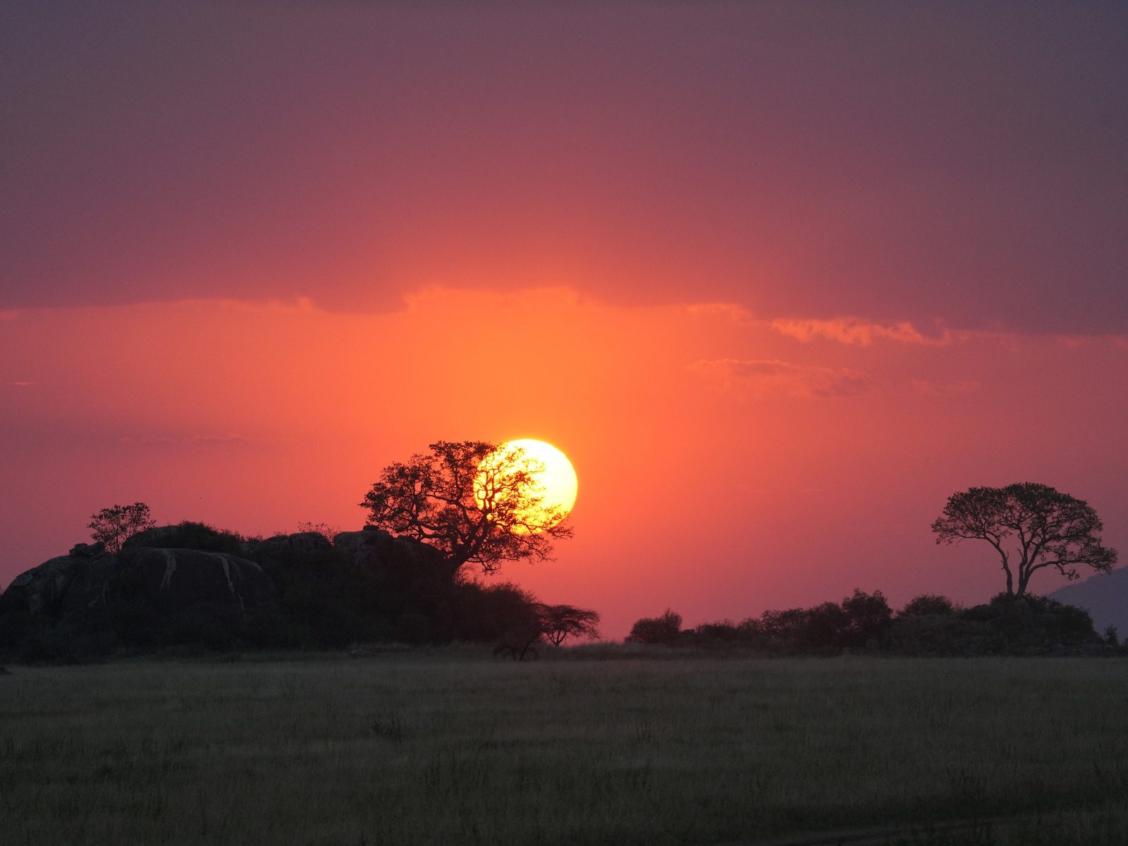 Go2Wild Africa guests and guide with the safari vehicle