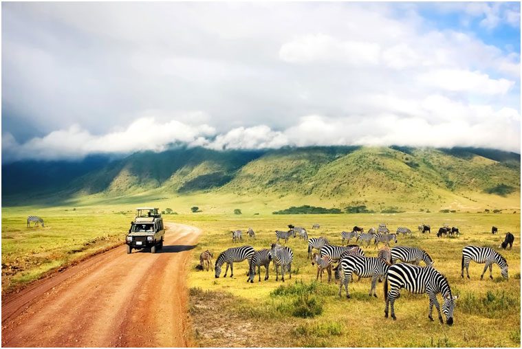 Parco Nazionale del Lago Manyara