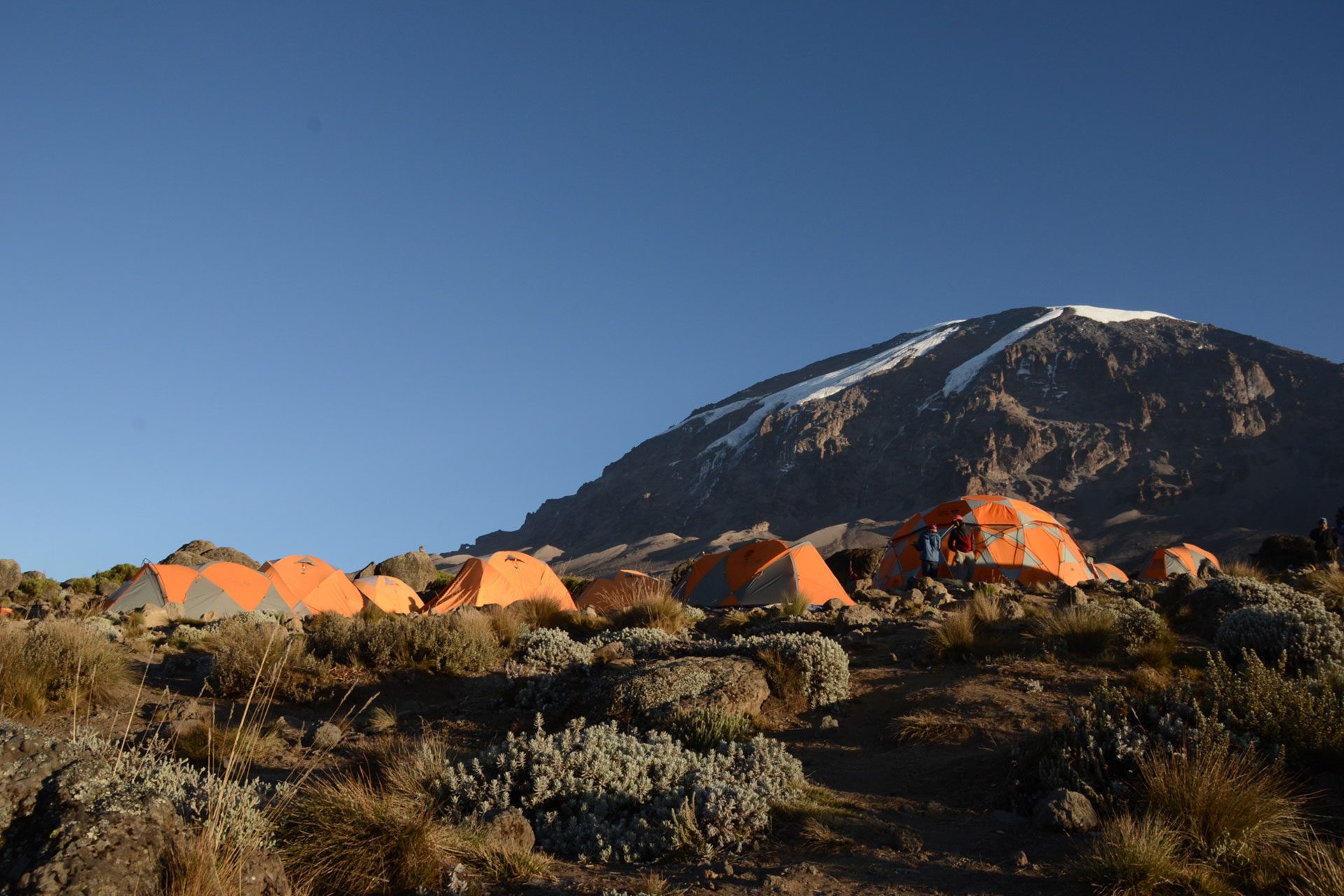 Besteigen Sie Kilimandscharo & Mount Meru