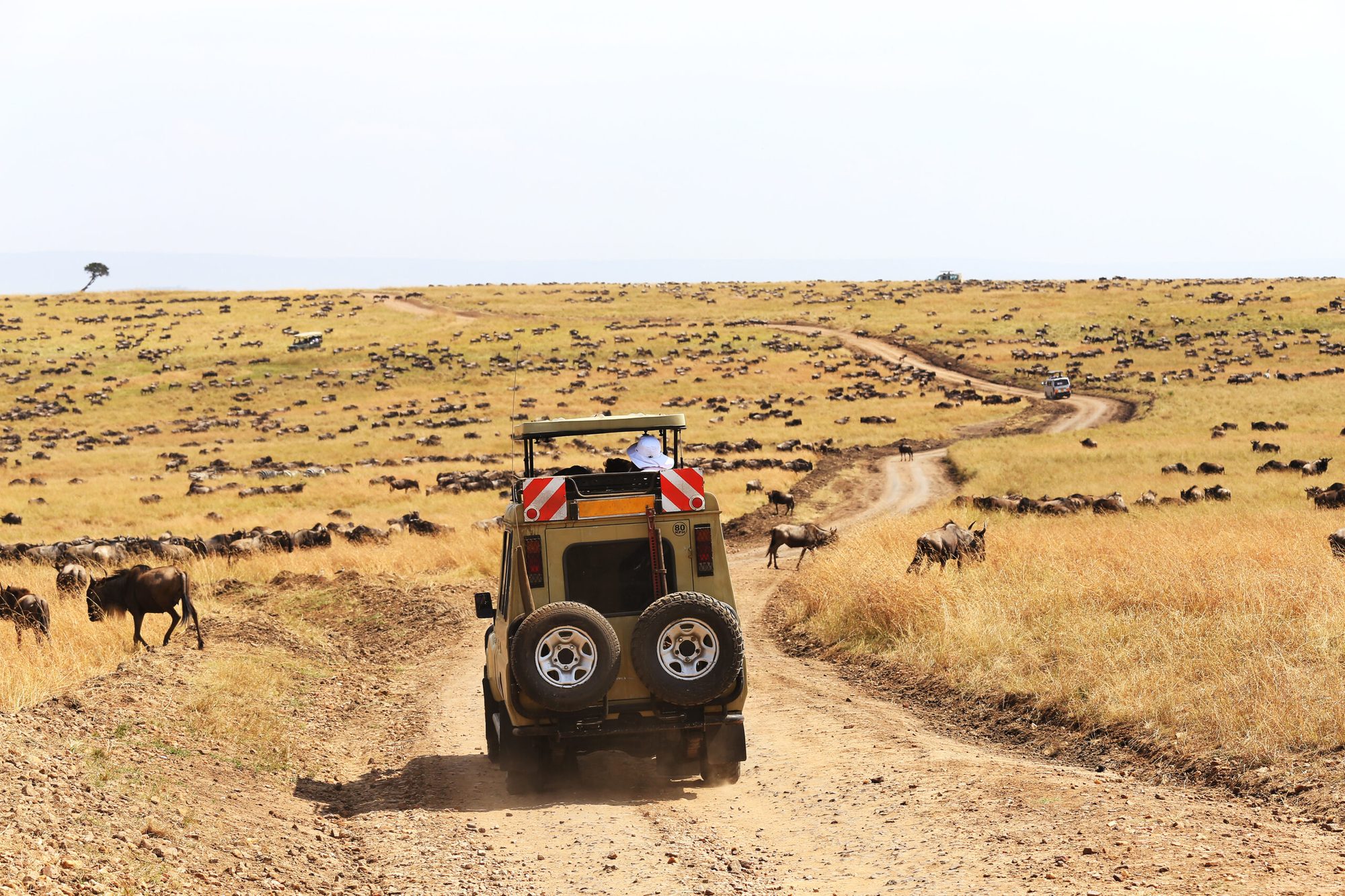 Serengeti National Park