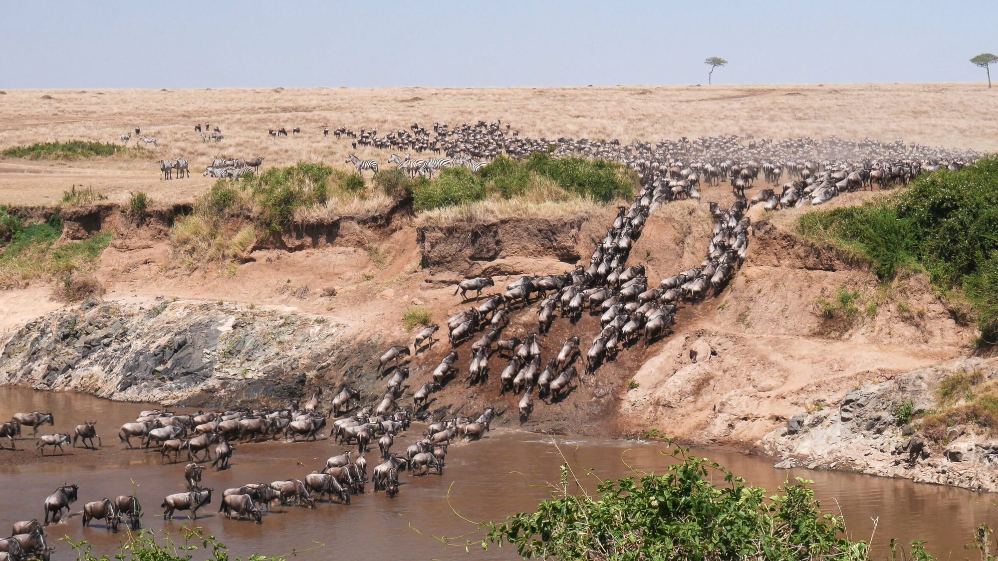 5 Giorni di Splendido Safari in Lodge in Tanzania