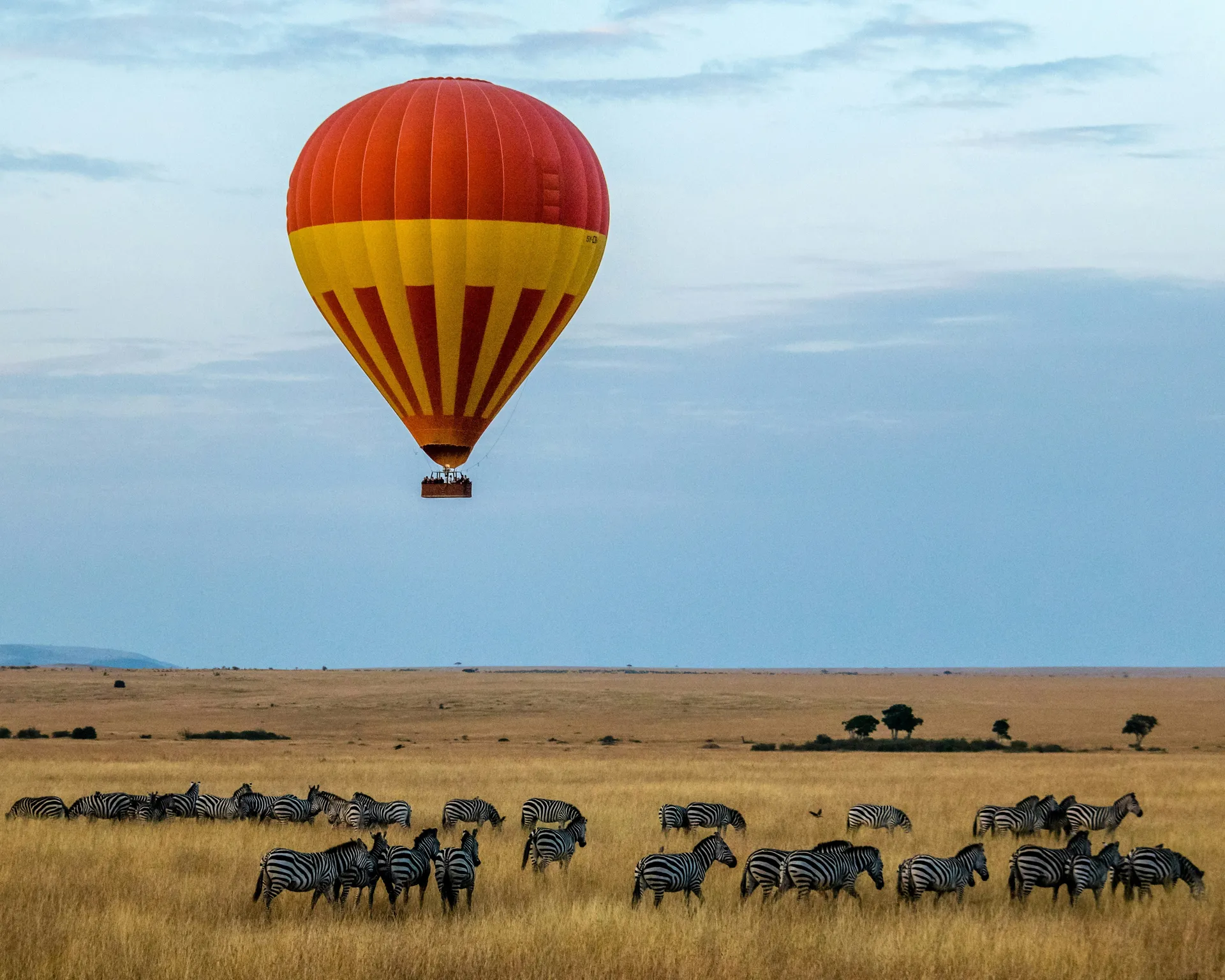 Parco Nazionale del Serengeti